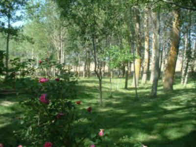 Imagen del Jardín Botánico de Borobia 1